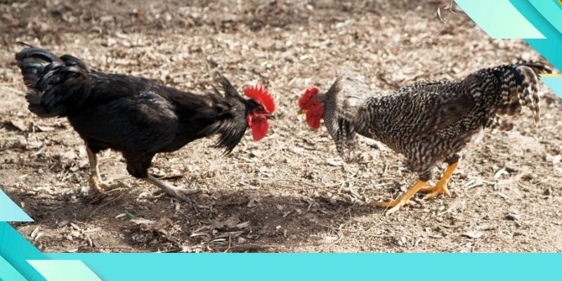 Cập nhật băn khoăn khi trải nghiệm