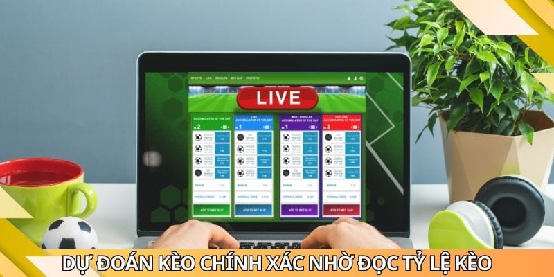 Kèo Rung Góc Đẹp - Nhận Diện Xu Hướng Cá Cược Nhanh, Chuẩn