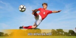 Kèo Bóng Đá Mới Cập Nhật Và Phân Tích Cho Hội Viên