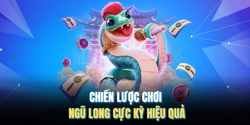 Chiến lược chơi Ngũ Long cực kỳ hiệu quả